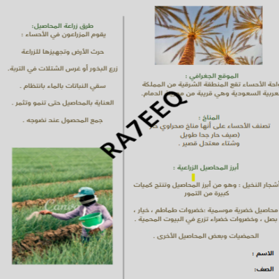 مشروع الوحدة الرابعة عن واحة الأحساء لغتي للصف الثاني الابتدائي الفصل الاول ص 122